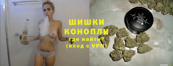 молекула духа Медвежьегорск