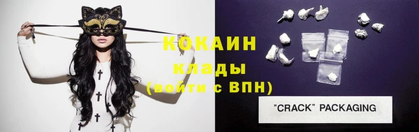 молекула духа Мегион