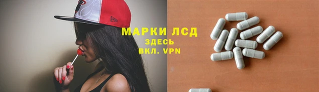 молекула духа Медвежьегорск