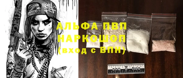 молекула духа Медвежьегорск