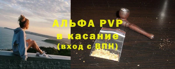 молекула духа Медвежьегорск