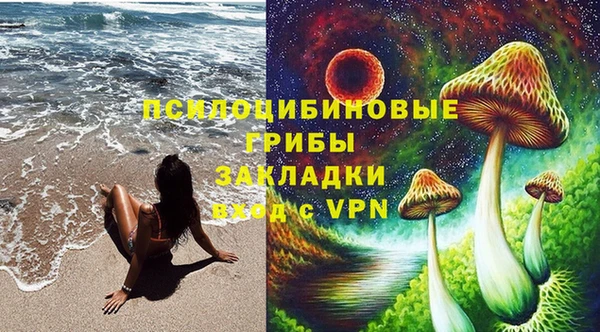 молекула духа Мегион