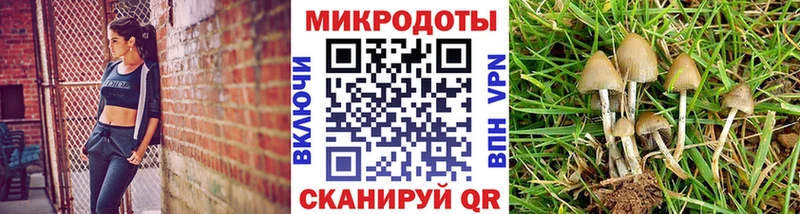 Купить  Краснозаводск  Псилоцибиновые грибы Magic Shrooms 